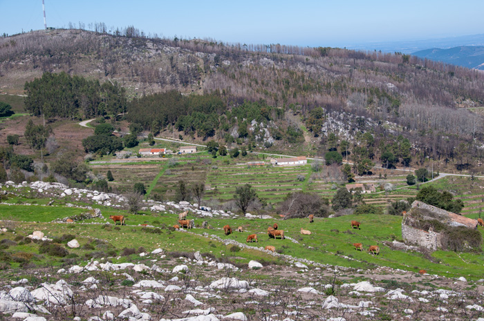 Portugal